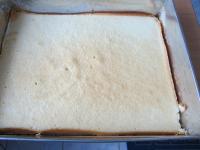 Im vorgeheizten Ofen 15 Minuten backen. ...